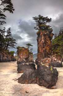 St. Josef Bay, Cape Scott-7772